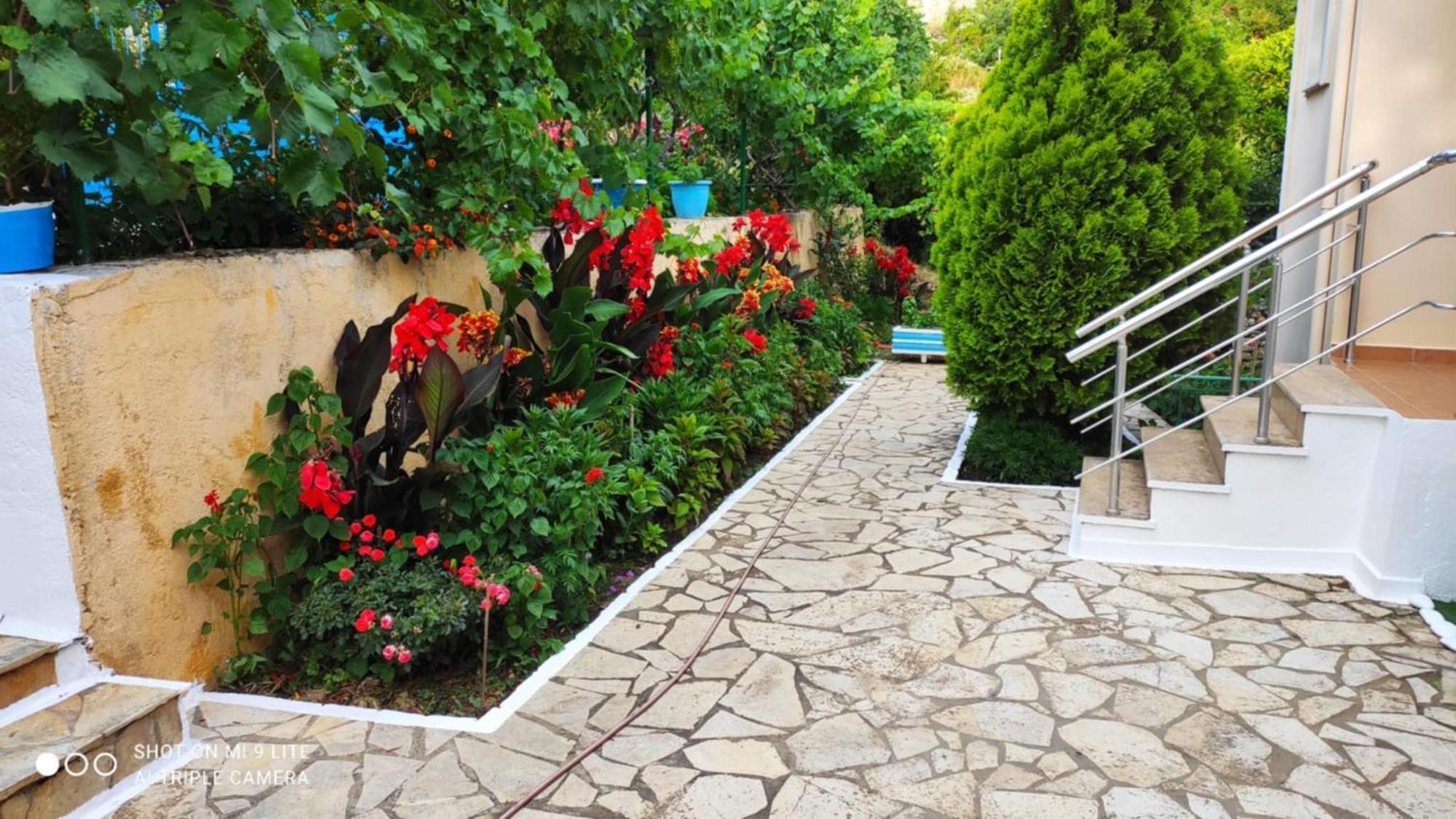 Casa rural Vasil Lukovë
