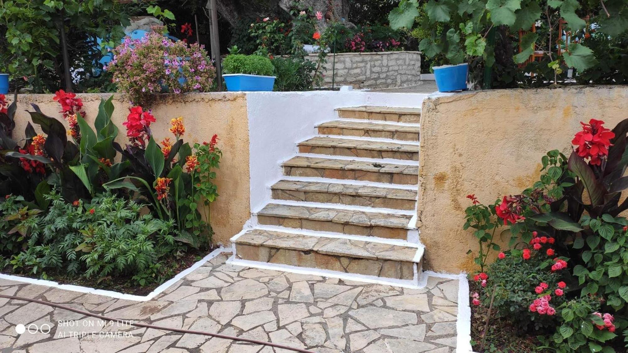 Country house Vasil *