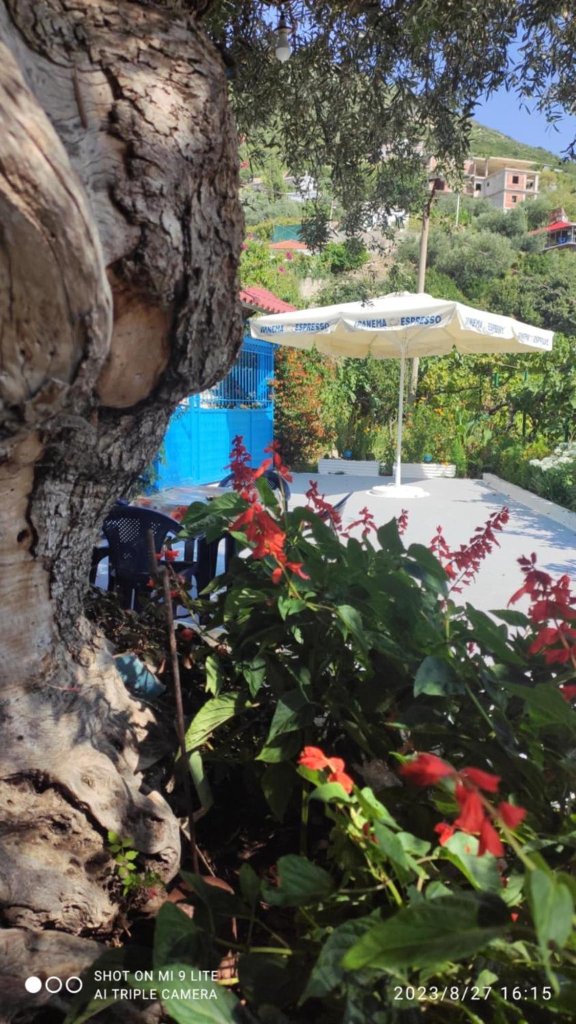Vasil Country house